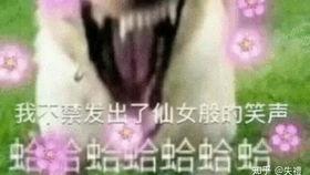 快乐摸鱼吃瓜视频大全,盘点热门快乐摸鱼吃瓜视频大全