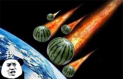 沧海月明直播吃瓜,一场别开生面的吃瓜盛宴