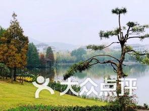 吃瓜浙江农林,探寻校园里的美食与趣事