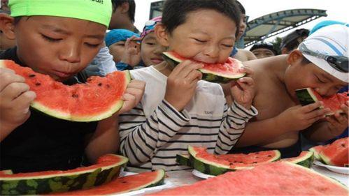 南靖吃瓜打架,一场闹剧背后的社会现象解析