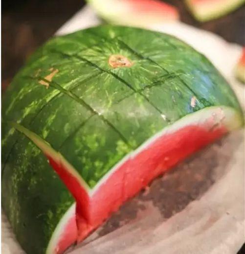 植物圈吃瓜头像,揭秘植物界的趣味瞬间