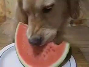 小小婷吃瓜,揭秘娱乐圈那些不为人知的幕后故事