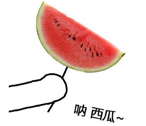 留学圈 吃瓜,揭秘那些“吃瓜”背后的留学故事