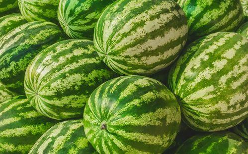 香君路吃瓜,一场别开生面的吃瓜盛宴