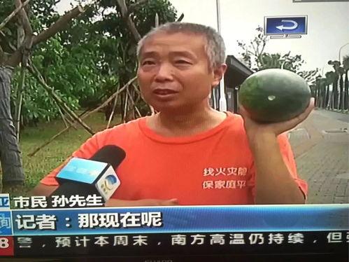 梅州吃瓜群众事件,网络舆论的风暴与反思