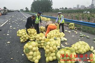 辉县吃瓜群众,揭秘当地独特生活风情
